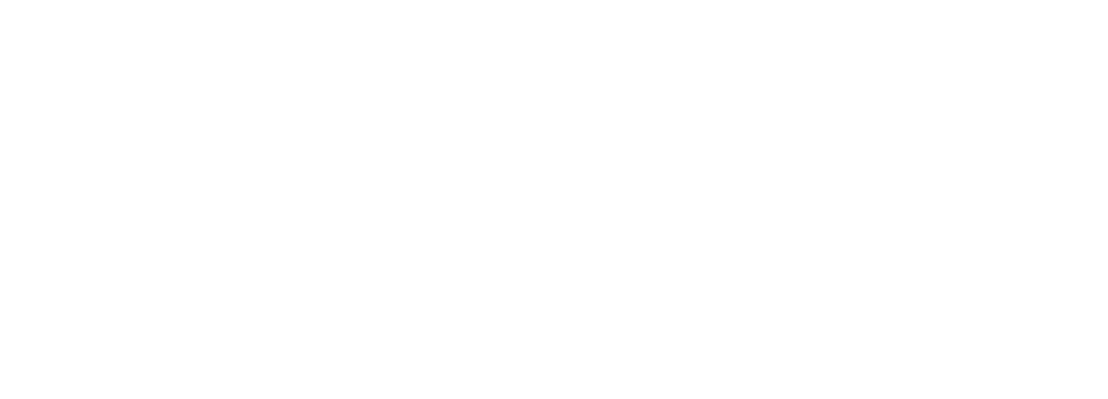 Vega Palace Bistrot